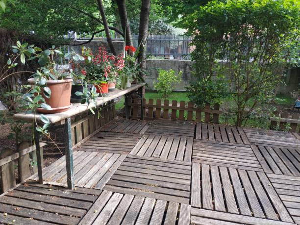 istock Home garden with plants and flowers 1225736258