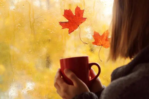 two maple leaves stuck to the window pane during rain and a blurry silhouette of a man with a mug in his hands in the foreground