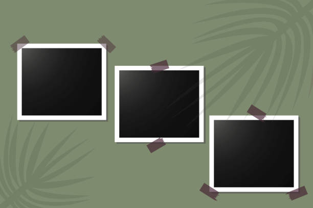 istock Vector image of photo frames, blank pictures. Blank templates of three photos on a green background. Stock Photo. 1225740225