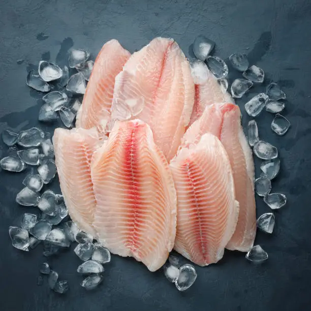 Fresh fish fillet of sea bass in ice on a dark slate background. Top view.