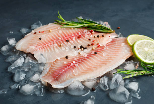 Fresh fish fillet of sea bass in ice. Fresh fish fillet of sea bass in ice on a dark slate background. bass fish photos stock pictures, royalty-free photos & images