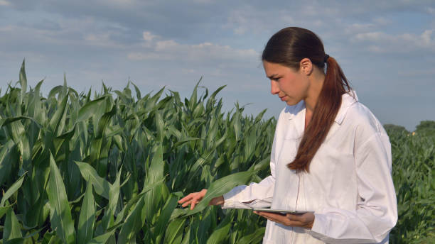 istock A plant specialist, checking the field soy, in a white coat makes a test analysis in a tablet, a background of greenery 1225743534