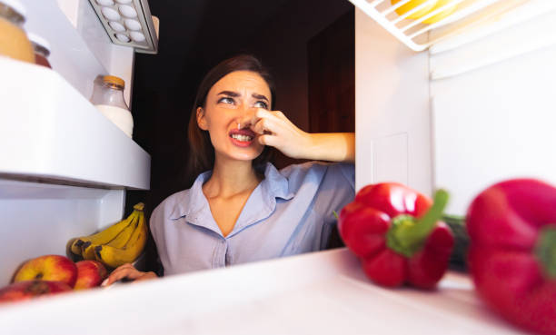 Woman closing nose near refrigerator, feeling bad smell Foul food. Young woman closing nose near refrigerator, feeling bad smell, view from inside food poisoning photos stock pictures, royalty-free photos & images