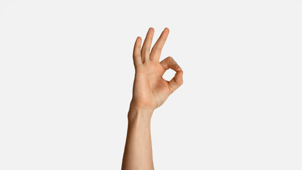 istock Unrecognizable young man showing okay gesture, expressing agreement on white background, close up. Panorama 1225748091