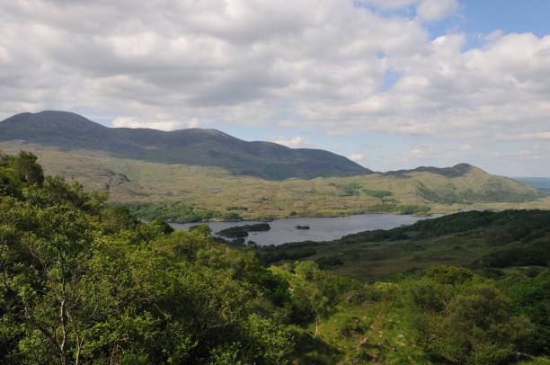 Ireland, the Emerald Isle, summer landscape
