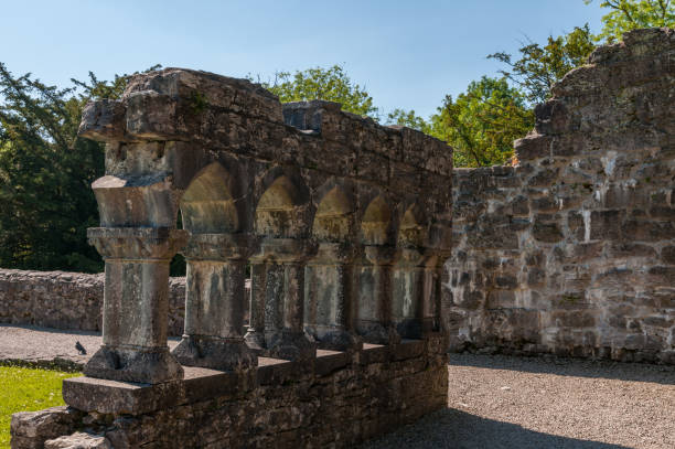istock Ireland, Augustinian abbey of Cong 1225752466