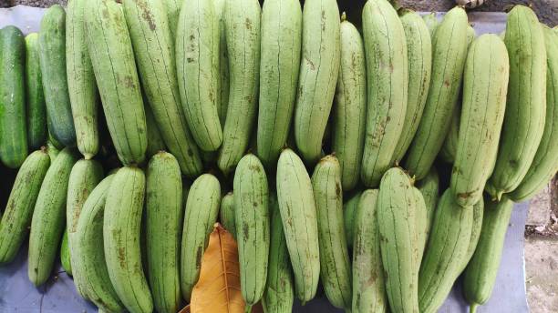 luffa for sale at market stall in vietnam - for sale industry farmers market market stall imagens e fotografias de stock