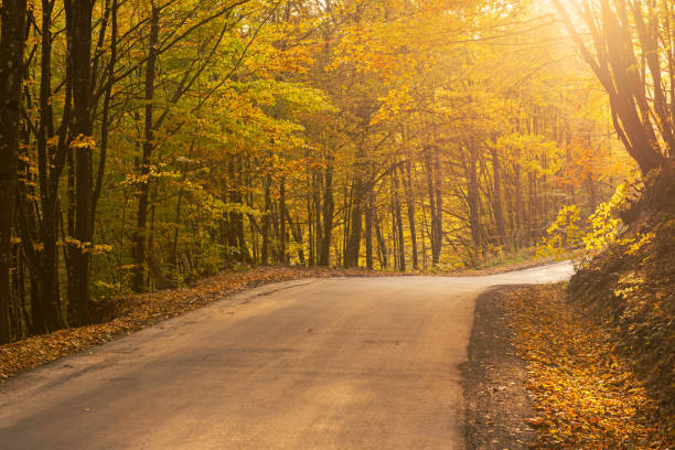 istock Beautiful autumn landscape 1225757017
