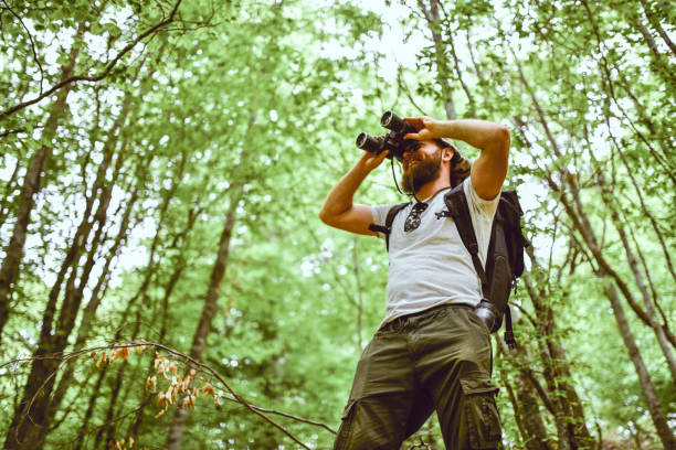 istock Let's Explore The Forest And Mountain Region 1225757166
