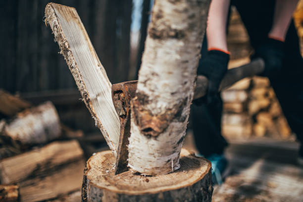istock Blow of an ax splits birch log into two - logging for heating house 1225757884