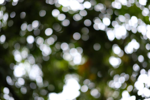istock Blur of bottom view of tree branches and tree leaves in daytime. 1225757928