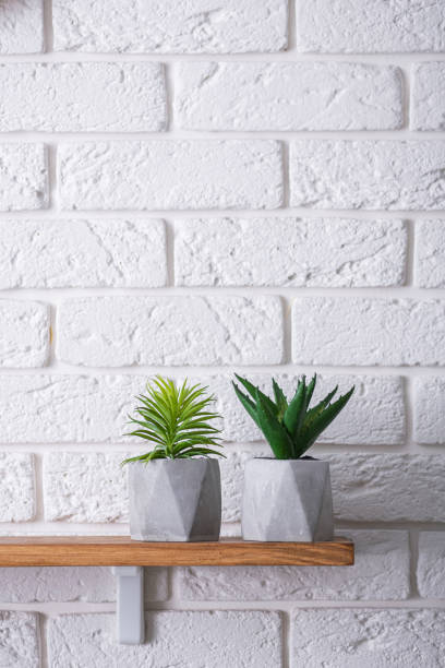 istock Brick white wall with wood shelf and green succulents 1225758584