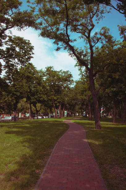 istock Shady city alley. Cobblestone path among the trees. 1225758617