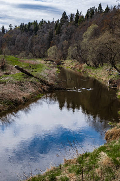 istock Spring on the Bank of a small river 1225760024