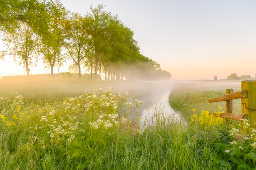 Early morning sunrise during a beautiful springtime day over the Zwartendijk, the old Zuiderzee levee in the IJsseldelta near Kampen in Overijssel The Netherlands.