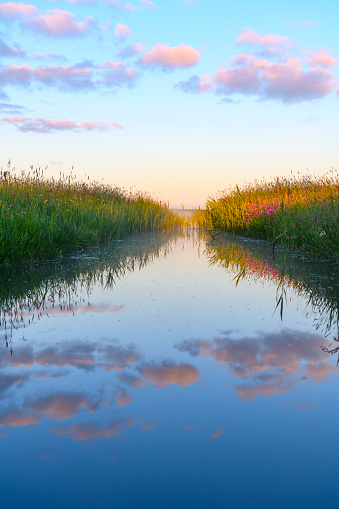 Early morning sunrise during a beautiful springtime day over the Zwartendijk, the old Zuiderzee levee in the IJsseldelta near Kampen in Overijssel The Netherlands.