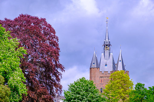 Flowering roses in a park in front of the baroque brick façade of Rosenholm Castle framed by trees in Summer, Jutland, Denmark