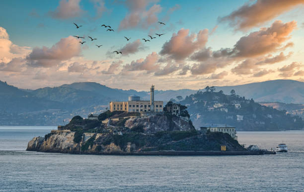 Alcatraz at Dusk stock photo