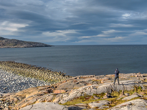 A middle-aged woman taking photo of Barents Sea, travel concept
