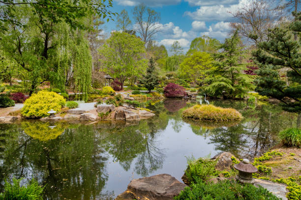 istock Nice Lake in Japanese Garden 1225766682