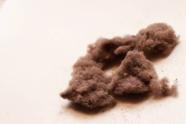 istock Bunch of Dust and Fiber Particles 1225767352