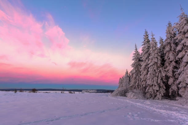 istock sunset in winter, High Vens, Belgium 1225767738