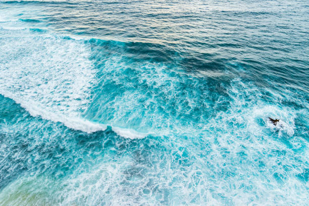 istock Big ocean waves hitting a coral rif. View from above. 1225772904