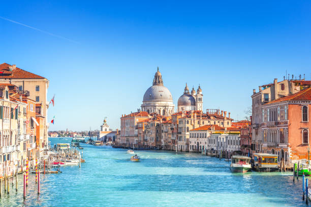 istock Santa Maria della Salute, Venice 1225773079