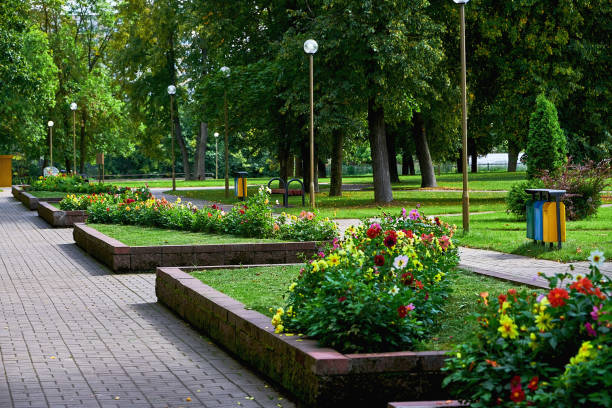 istock Paved path in the Park. A secluded path in the Park on a summer day. 1225774040