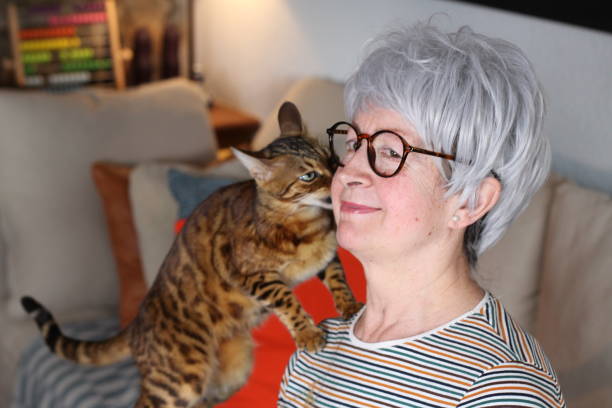 istock Hilarious cat talking to owner 1225775160