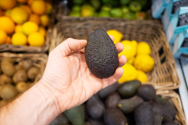 istock Closeup of black avocado in shoppers hand 1225777768