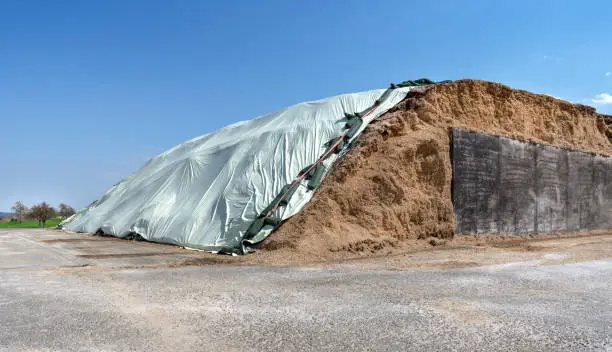 Big pile of silage covered with bright foil for a biogas plant