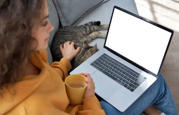 Photo of Young hispanic latin teen girl student relax sit on sofa with cat holding laptop looking at mock up white computer screen online learning on pc, elearning, watching movie. Over shoulder closeup view