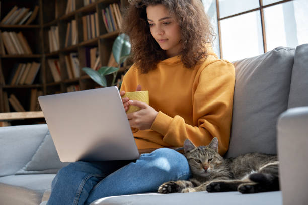young hispanic latin ethnic teen girl relaxing sit on comfortable sofa with cute pet cat watching remote education webinar class, movie series on laptop drinking warm tea in cozy sunny living room. - education relaxation women home interior imagens e fotografias de stock