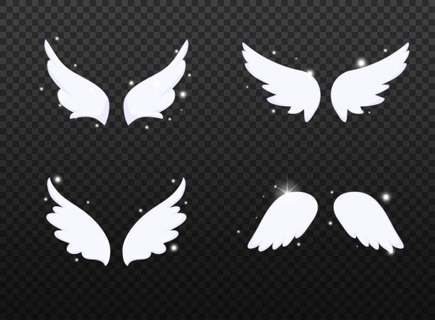 istock Set of hand drawn bird or angel wings with light effect. Different shape in open position. 1225784335