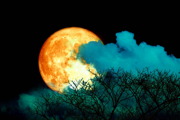istock Full blood strawberry moon back cloud and tree in the field and blue sky 1225784351