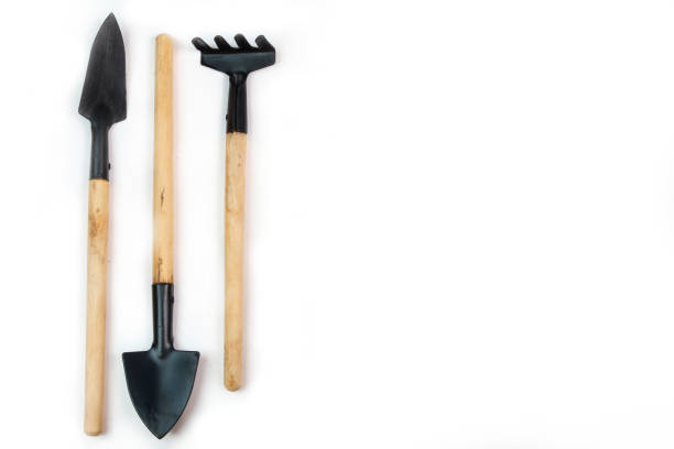 istock Tools, seeds, peat pots and pressed ground for seedlings. Copyspace for text, top view. Growing food on windowsill. Flatlay on white wooden background 1225787015