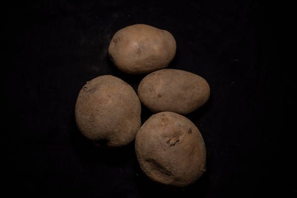 Top down image of a collection of potato in dark copy space background.