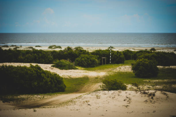alla scoperta dell'oceano atlantico - sand dune cumberland island beach sand foto e immagini stock