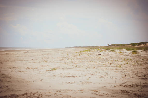 dune sulla spiaggia - sand dune cumberland island beach sand foto e immagini stock