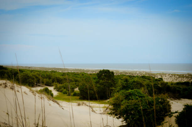 alla scoperta dell'isola di cumberland - sand dune cumberland island beach sand foto e immagini stock