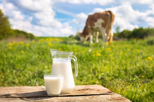 istock milk with cow on the background 1225789169