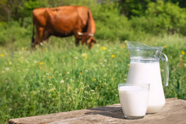 istock milk with cow on the background 1225789172