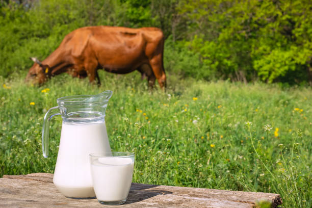 istock milk with cow on the background 1225789174