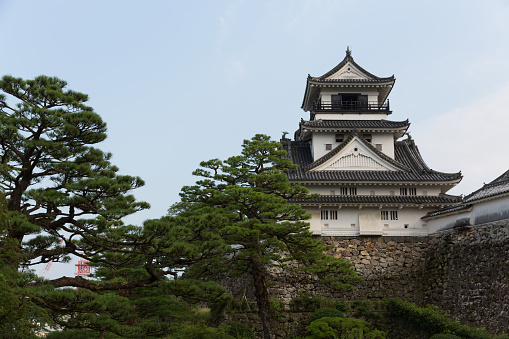 Kochi , Japan - July 19, 2016 : General view of Kochi Castle in Kochi Prefecture, Shikoku, Japan. Kochi Castle is one of twelve Japanese castles to have survived the fires, wars and other catastrophes of the post feudal age.