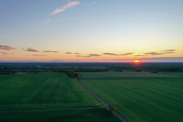 istock wheat, barley field separated by a dirt road. Sunset and clouds. Minimalistic abstract background and texture. Drone aerial view from above. 1225790560