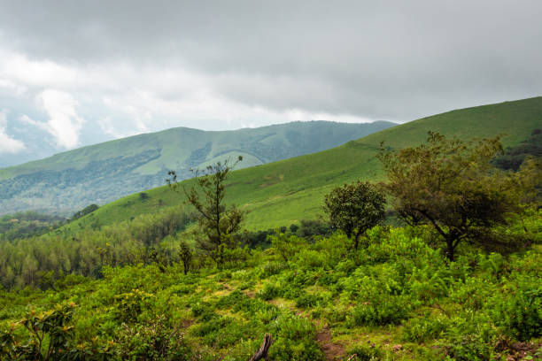 istock mountain coverd with clouds and green forests 1225791716