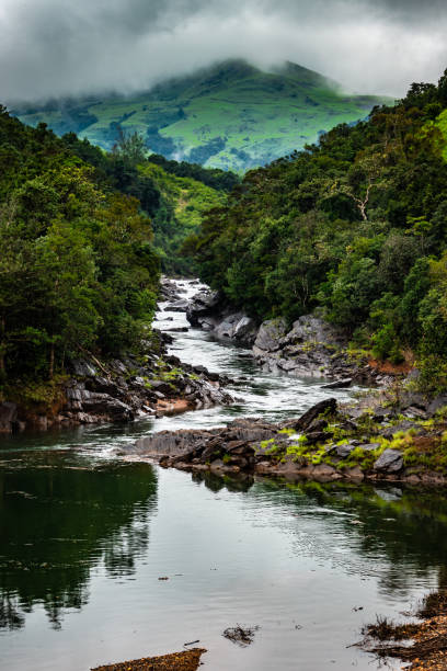 mountain gap with river flowing and green forests mountain gap with river flowing and green forests image is showing the amazing beauty and art of nature. This image is taken at karnataka india. kerala photos stock pictures, royalty-free photos & images