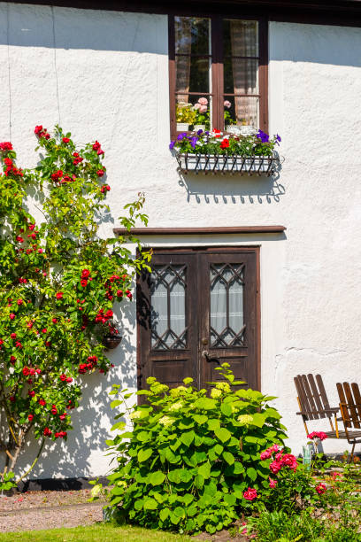istock Garden with blooming climbing roses 1225795467