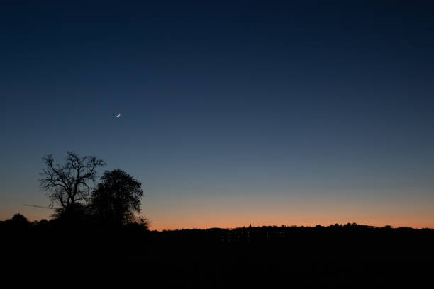 istock Tree silhouette at dusk with stars 1225801803